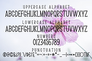 Beautiful Wildflower, a Serif Font by Mini_World (Thumbnail 6 of 7)
