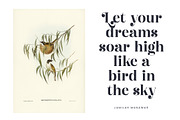 Giglik Merkia Elegant Serif Bold, a Serif Font by Letterena Studios (Thumbnail 4 of 15)
