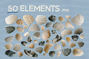 Hand-Collected Coastal Shells, an Object Graphic by MaliaFaithCreative (Thumbnail 4 of 6)