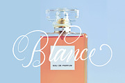 Adolle Bright - Modern Calligraphy, a Script Font by Dirtytemp Studio (Thumbnail 4 of 11)