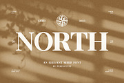 North Elegant Serif Font, a Serif Font by Perfectype (Thumbnail 1 of 10)