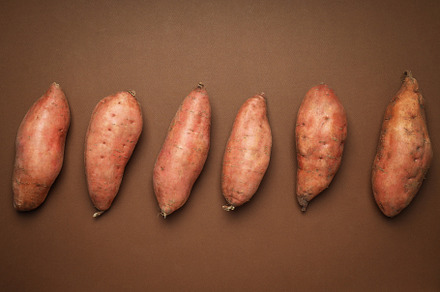 Concept of vegetables, sweet potato, top view, a Food & Drink Photo by AtlasStudio PRO