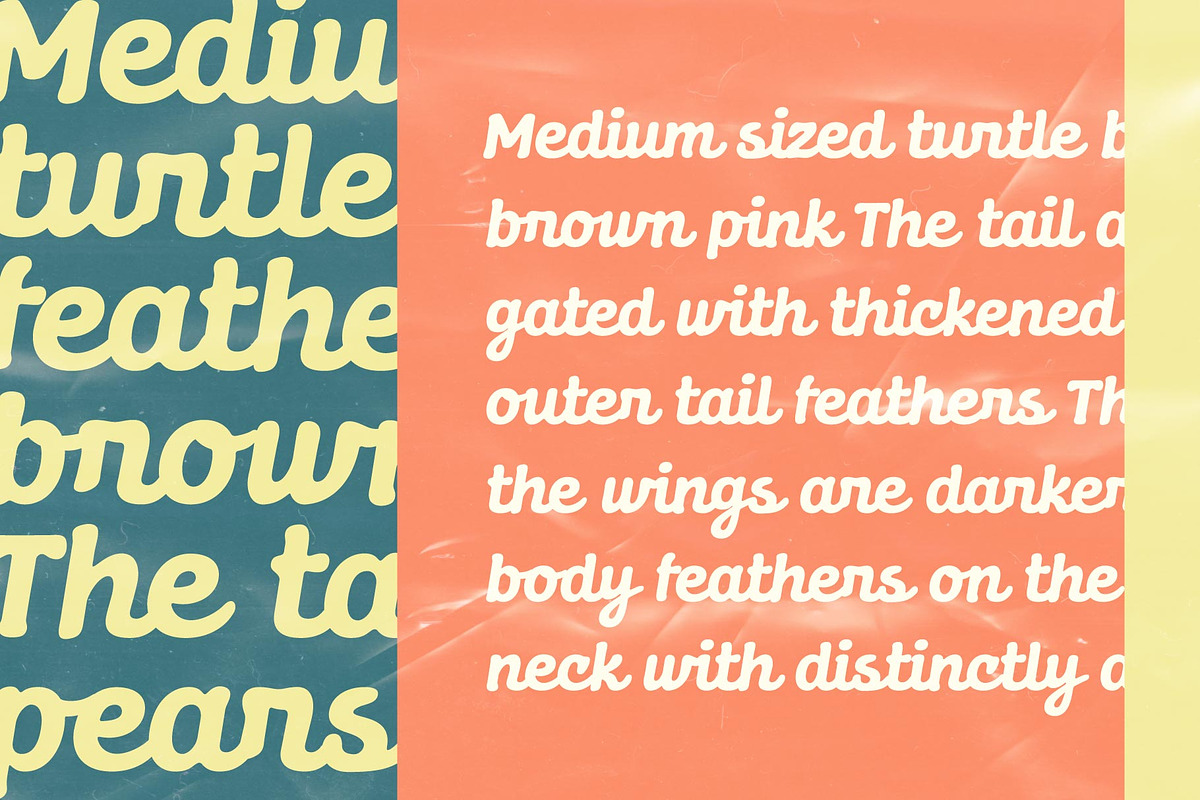 Dunley; Soft Script, a Script Font by Eko Bimantara (Photo 7 of 9)