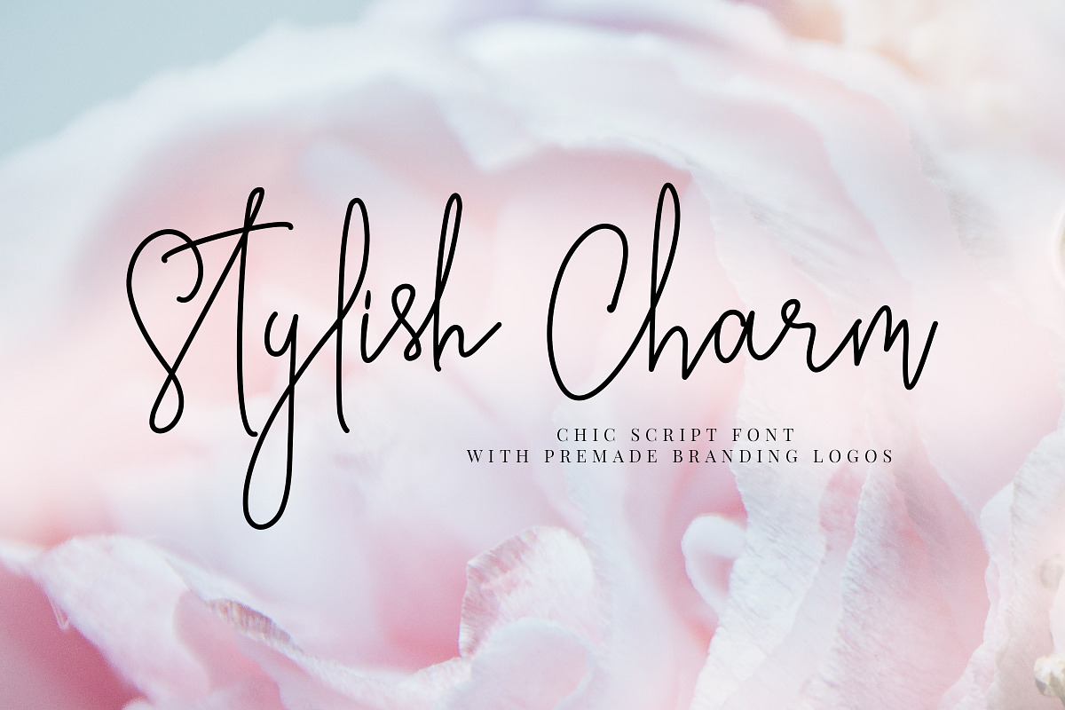 Stylish Charm Brand & Logotype Font
