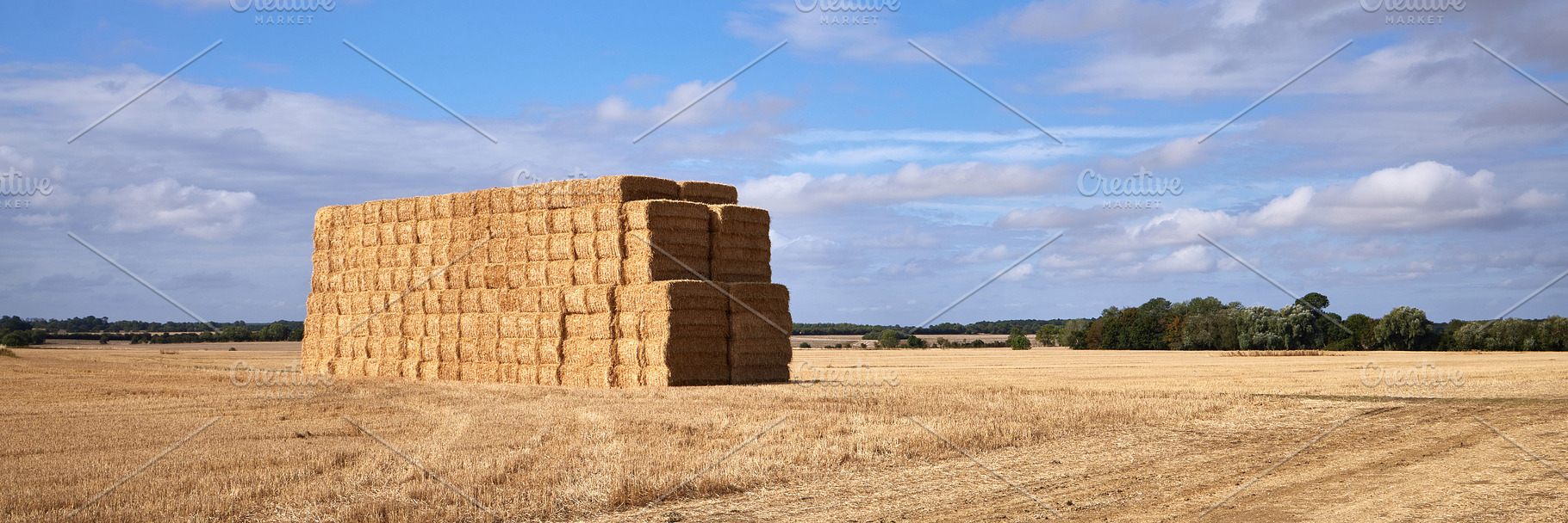 Panorama field with hay stacks, a Photo by Photos from the Heart