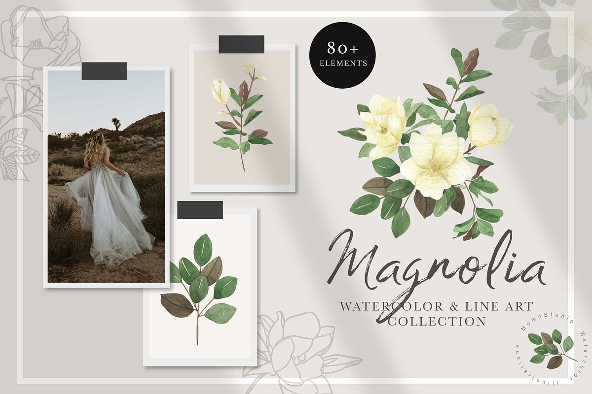 MAGNOLIA - Watercolor & Line Art, a Texture Illustration by Momo Studio (Photo 1 of 14)