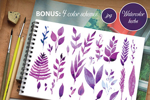 Watercolor Herbs and leaves