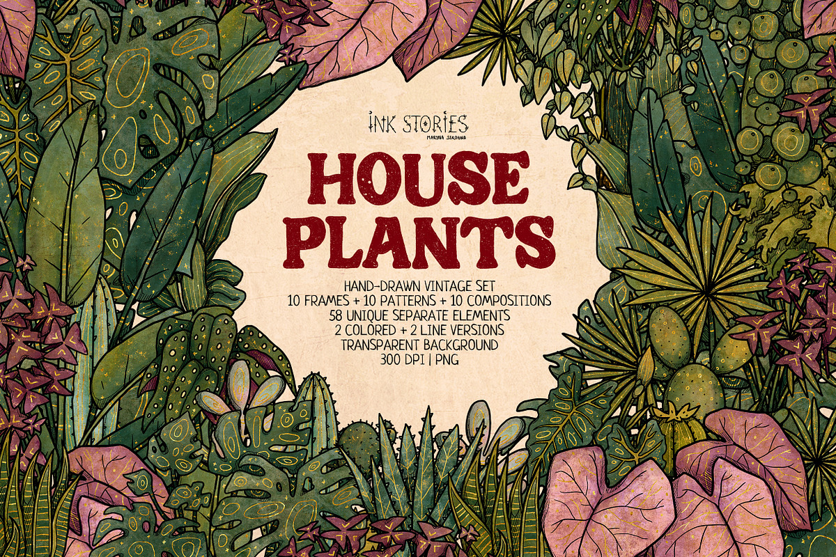 House Plants, an Object Illustration by Ink Stories (Photo 1 of 23)