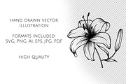 Lily Flowers Line Art SVG, an Object Graphic by Dervik Art Store (Thumbnail 7 of 8)