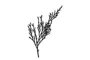 Botanical bundle - svg, png, a Decorative Illustration by Watercolor_Vector Graphic (Thumbnail 18 of 26)