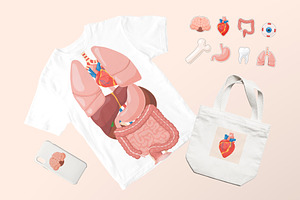 Human Organs Set