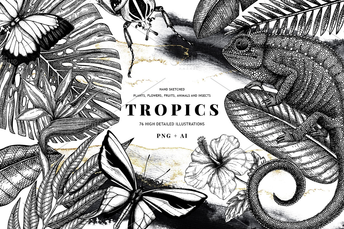 BUNDLE. Tropical Plants & Animals, an Object Graphic by Yevheniia (Photo 1 of 8)
