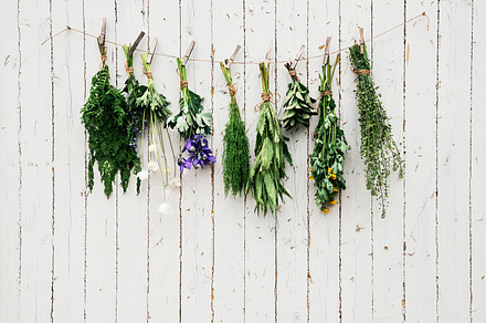Medicinal herbs featuring background, dry, and flower
