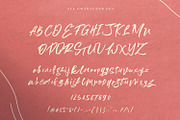 Aliva - Brush Script, a Script Font by Dirtytemp Studio (Thumbnail 12 of 12)