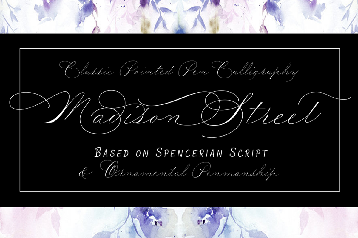 Madison Street Pro, a Script Font by STUDIOWAYS (Photo 1 of 8)