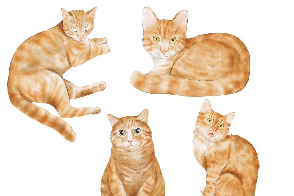 Watercolor Cat & Dog Illustration, an Animal Illustration by ArtbyHien (Photo 7 of 7)