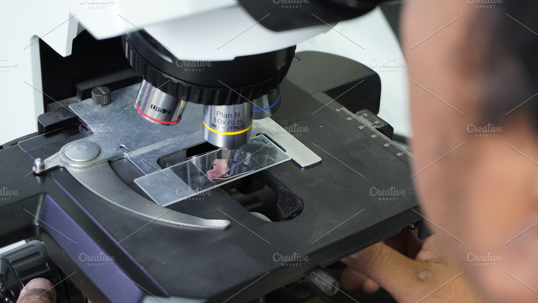 Microscopic Examination of Fish Gill, a Health & Medical Photo by bastera