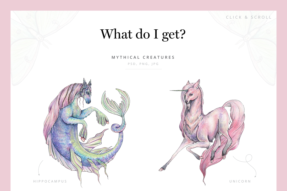 Ethereal Graphic Set & Fonts, an Animal Illustration by Riveros Illustration (Photo 2 of 14)
