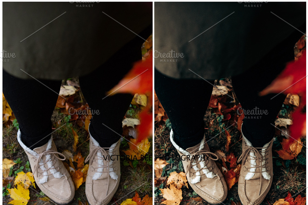 30  MOODY AUTUMN PRESETS, a Preset Add-On by Victoria Bee Presets (Photo 5 of 14)