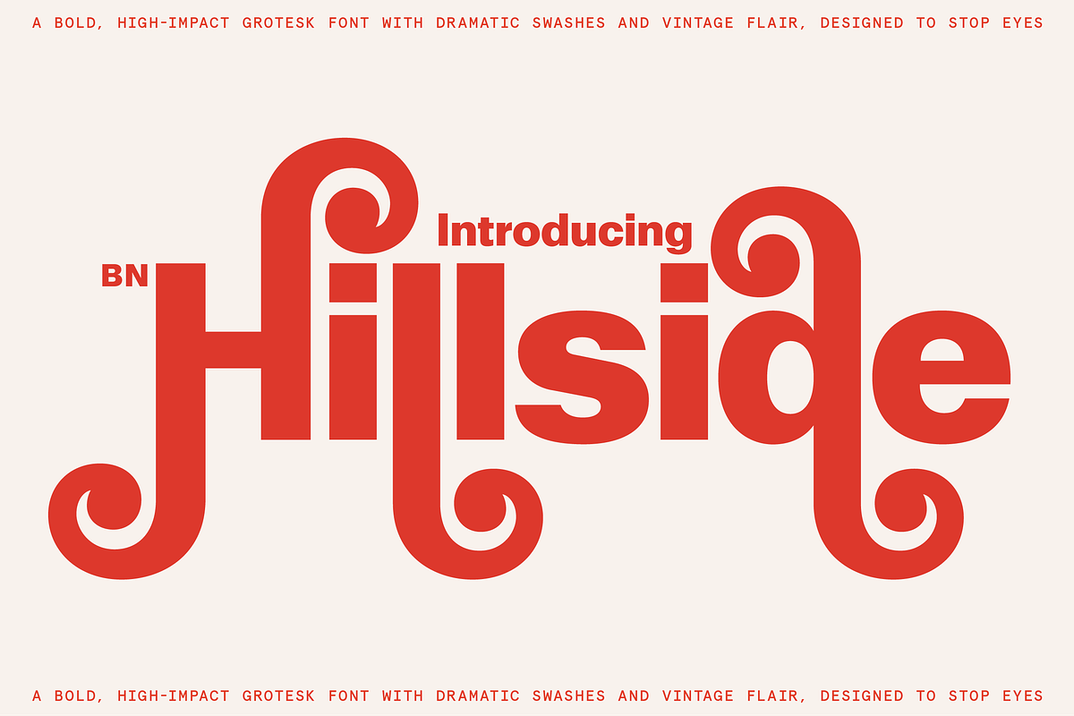 BN Hillside Grotesk, a Sans Serif Font by Bnick (Photo 1 of 14)