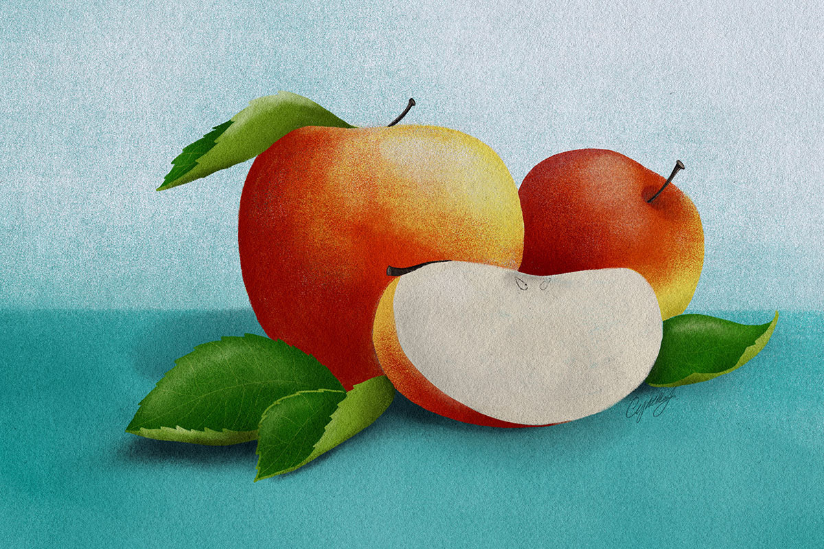 Procreate Sketch & Lettering Set preview 5