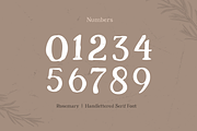 Rosemary - Hand-lettered Font, a Serif Font by Sensatype (Thumbnail 10 of 10)