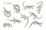 9  Lizards, an Animal Illustration by GooseFrol (Thumbnail 2 of 6)
