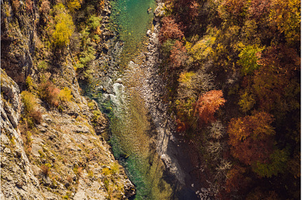Mountain river Tara and forest in, a Nature Photo by Elizaveta Galitskaya