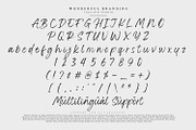 Wonderful Branding, a Script Font by din-studio.com (Thumbnail 8 of 10)