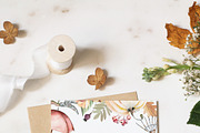 Harvest Time Watercolor Set, a Food Illustration by Olga Koelsch (Thumbnail 4 of 14)