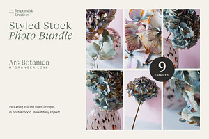 Hydrangea Love | Styled Photo Bundle