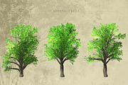 Zelkova Serrata Trees, an Object Graphic by Athlos ArtLab (Thumbnail 4 of 5)