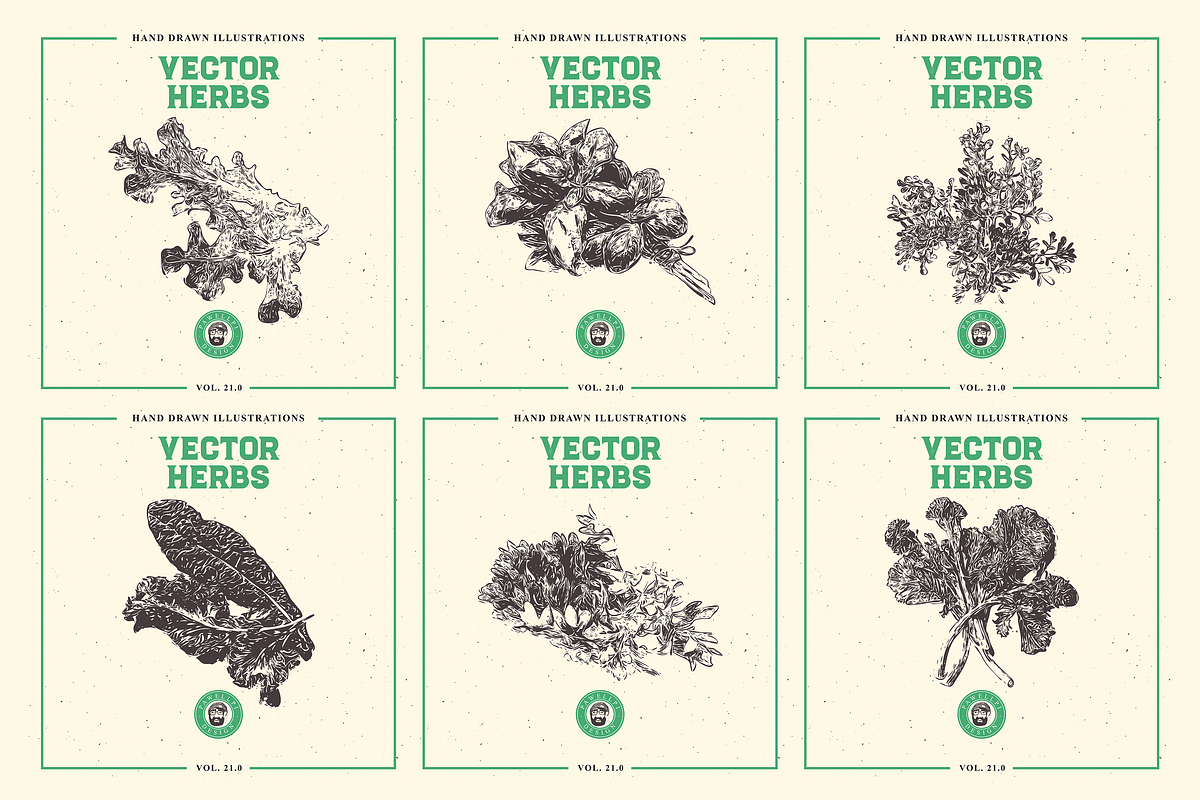 VECTOR HERBS HAND DRAWN BUNDLE v20, a Food Illustration by pawellpi (Photo 3 of 6)