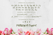 Dellisha - Handwriten Script fonts, a Script Font by Nahar_std (Thumbnail 8 of 9)
