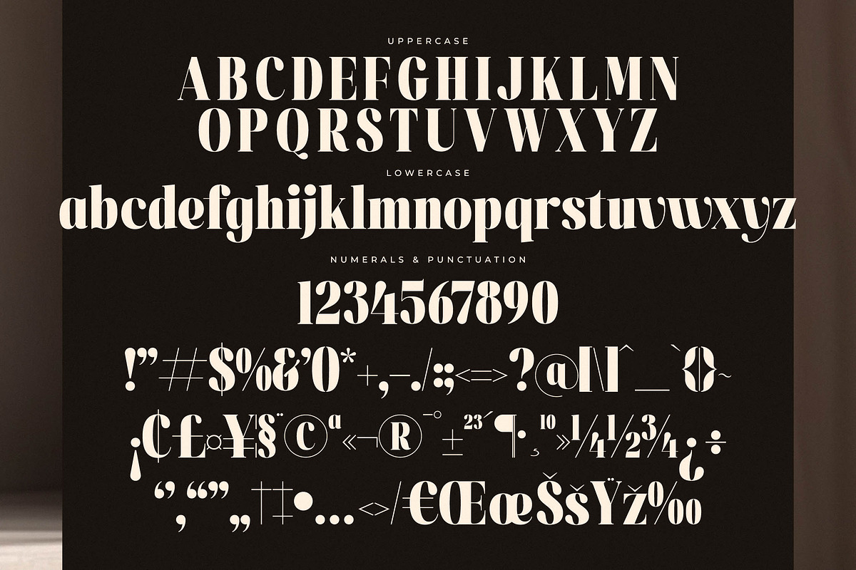 Magilne Modern Alternate Serif, a Serif Font by Letterena Studios (Photo 13 of 15)