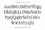 Oliveira - Modern Elegant Pixelated, a Serif Font by Typia Nesia (Thumbnail 2 of 14)