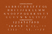 Tofes - Modern Serif Font, a Serif Font by PutraCetol Studio (Thumbnail 11 of 11)