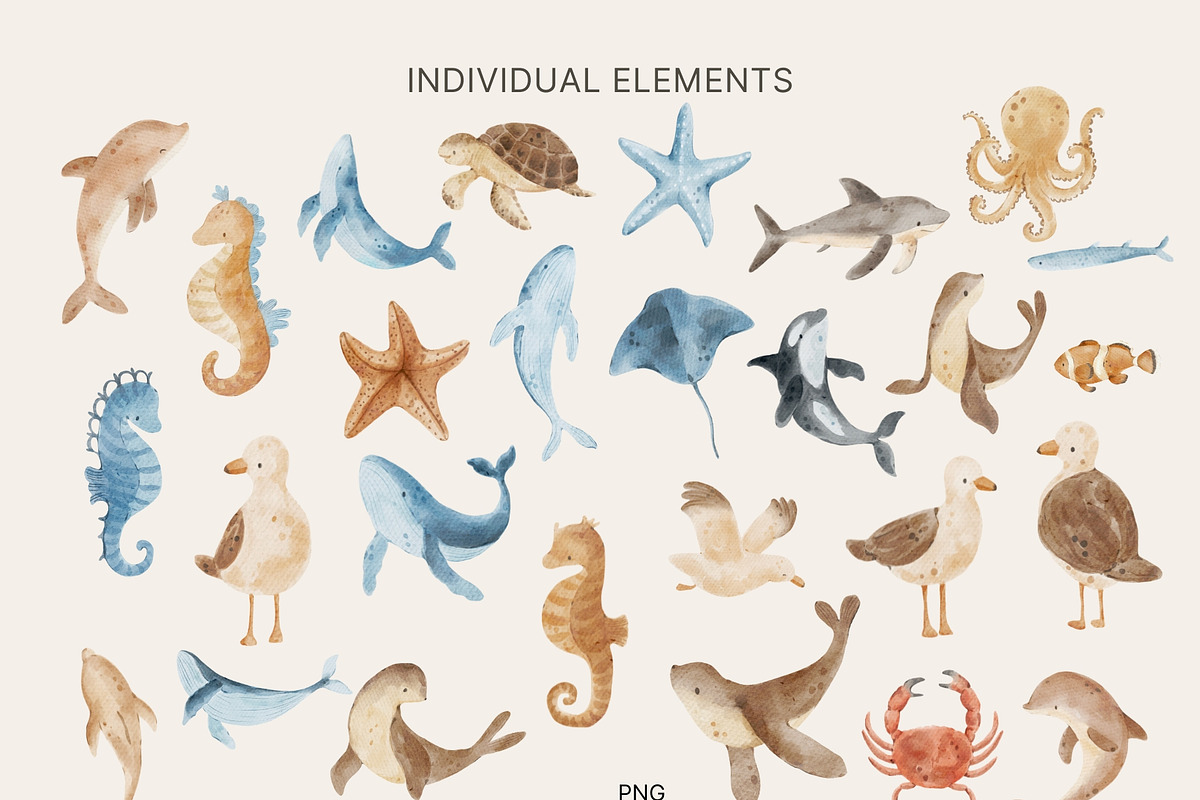 Watercolor Under Sea Collection, an Animal Illustration by Jenteva Art (Photo 13 of 14)