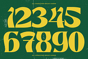 Bright Screen Retro Display Font, a Sans Serif Font by timelesstype.co (Thumbnail 10 of 15)