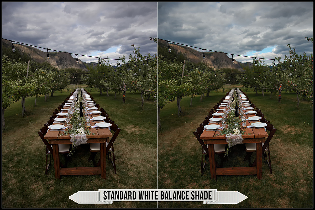 Hasselblad Adjustments Profiles, a Plug-in Add-On by Raztrend (Photo 4 of 30)