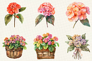Watercolor Lantana Flower Clipart, an Illustration by OK Design (Thumbnail 3 of 5)