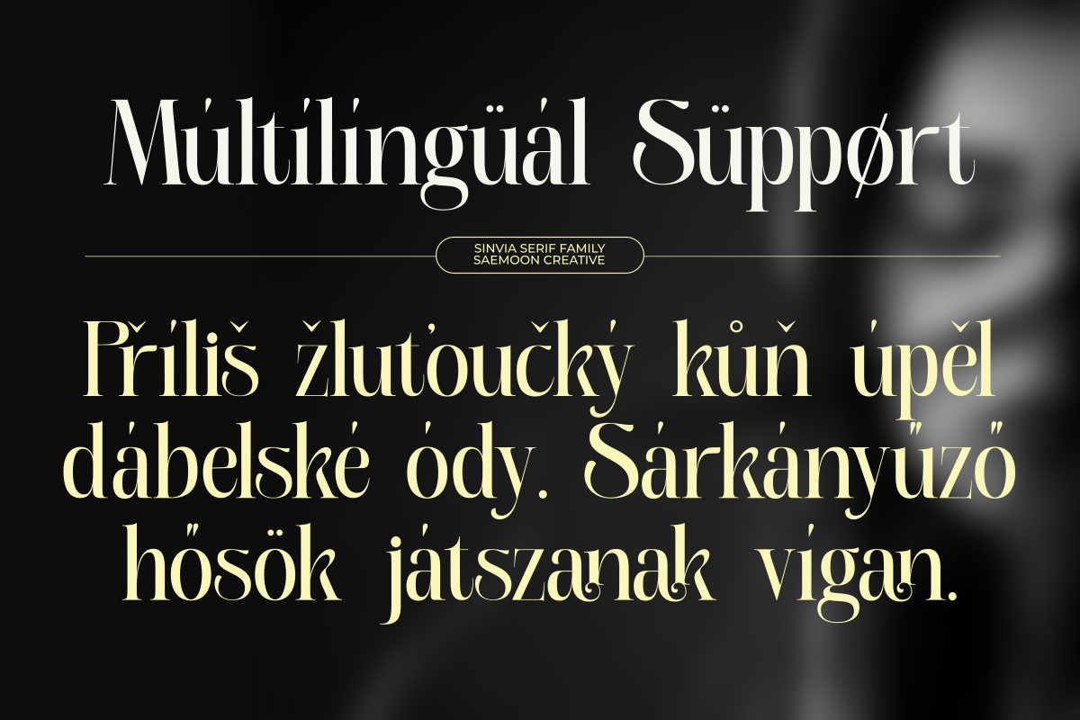 Sinvia, a Serif Font by saemoon creative (Photo 12 of 15)
