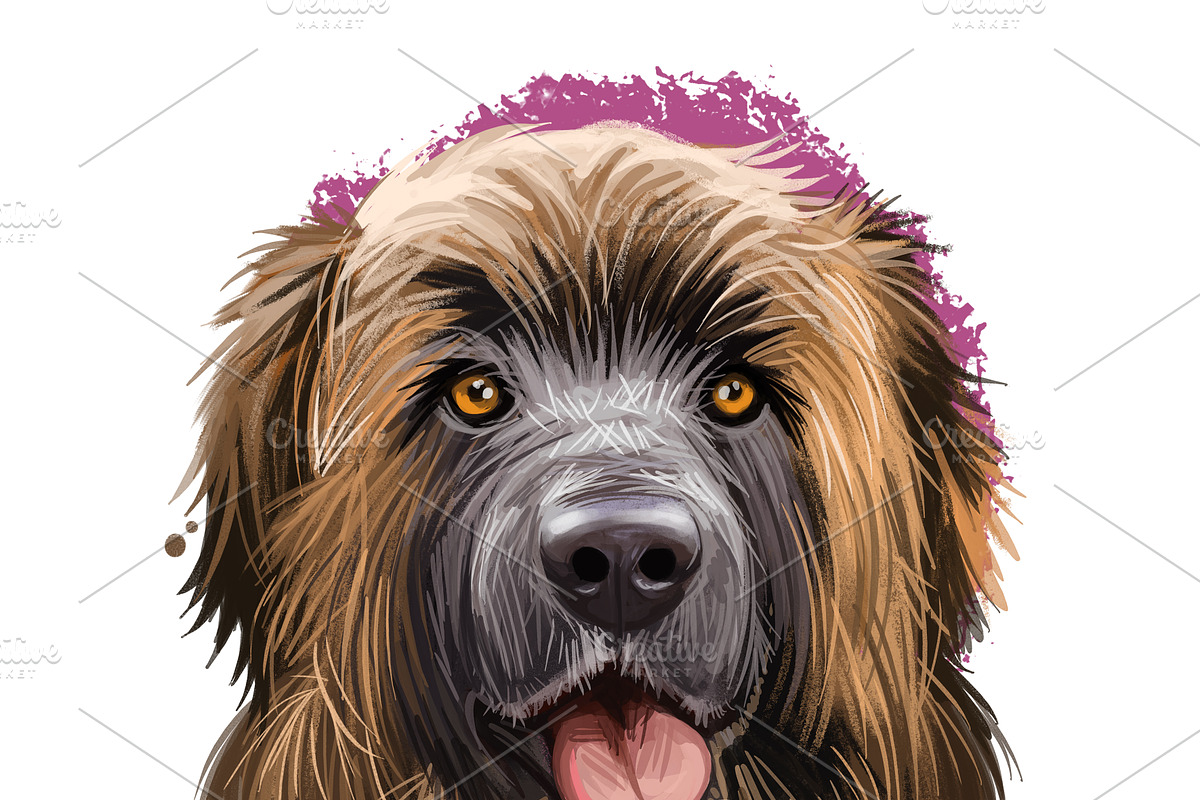 Popular Dog Breeds in World Pets Set, an Illustration by Dneprstock (Photo 3 of 4)