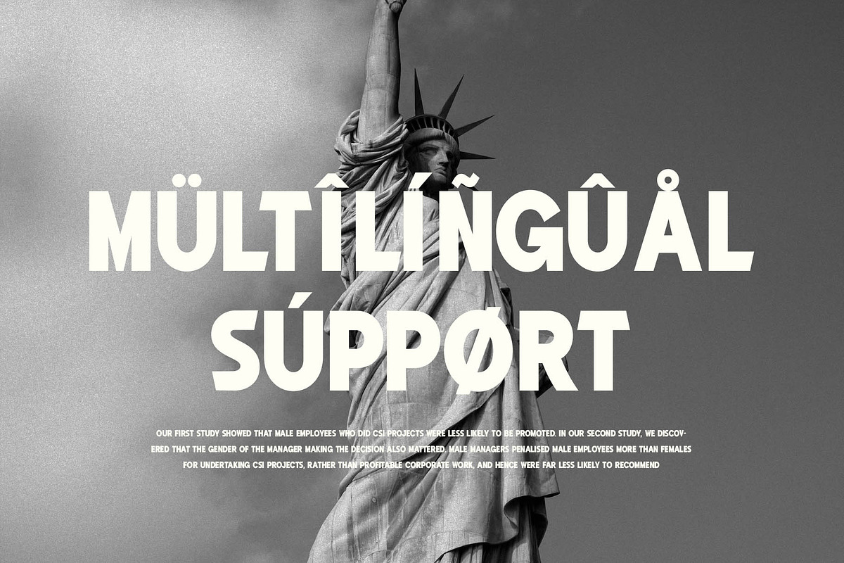 Observe Modern Sans Serif Font, a Sans Serif Font by Perfectype (Photo 5 of 6)