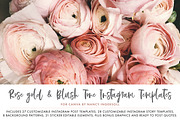 Canva Template Blush Bundle, a Social Media Template by Nancy Ingersoll (Thumbnail 8 of 8)