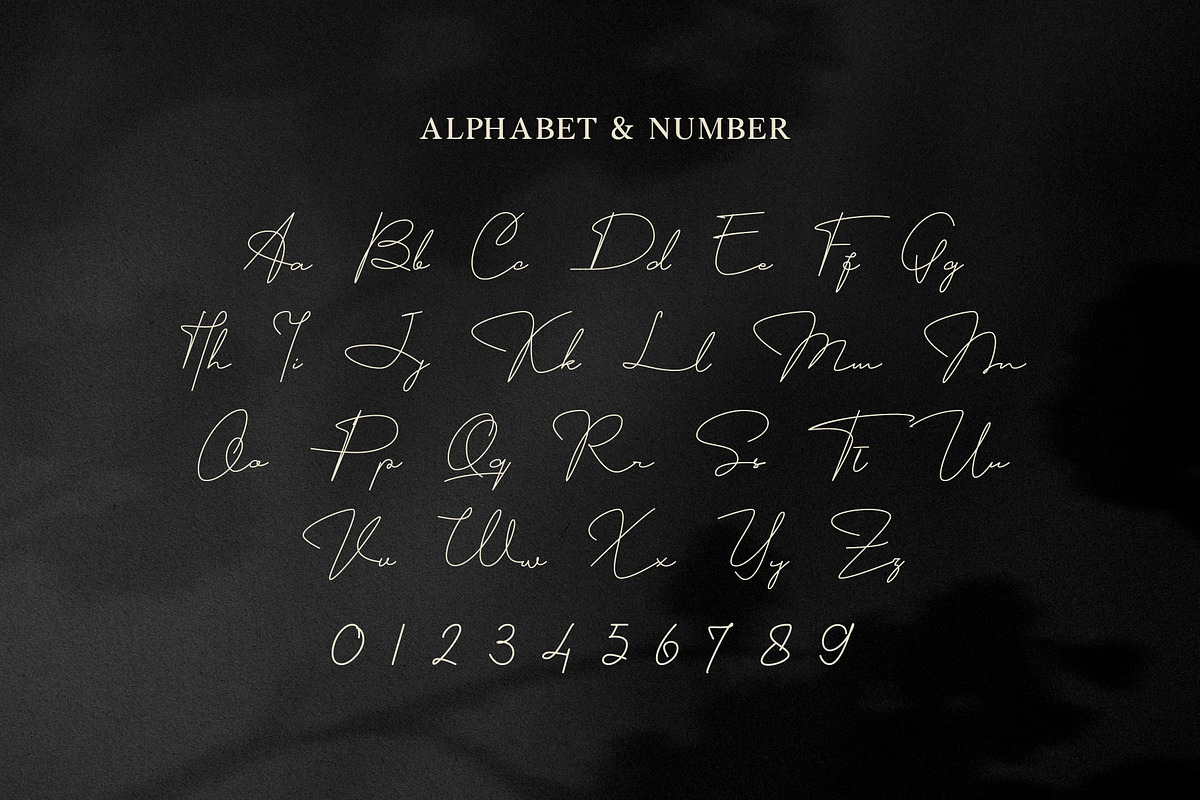 Signature One - Handwritten Font, a Script Font by Attractype (Photo 9 of 9)