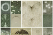 Otherwhere - Ethereal Backgrounds, a Background Graphic by alonahaidash (Thumbnail 11 of 17)