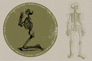 50 Vintage Anatomy Vectors