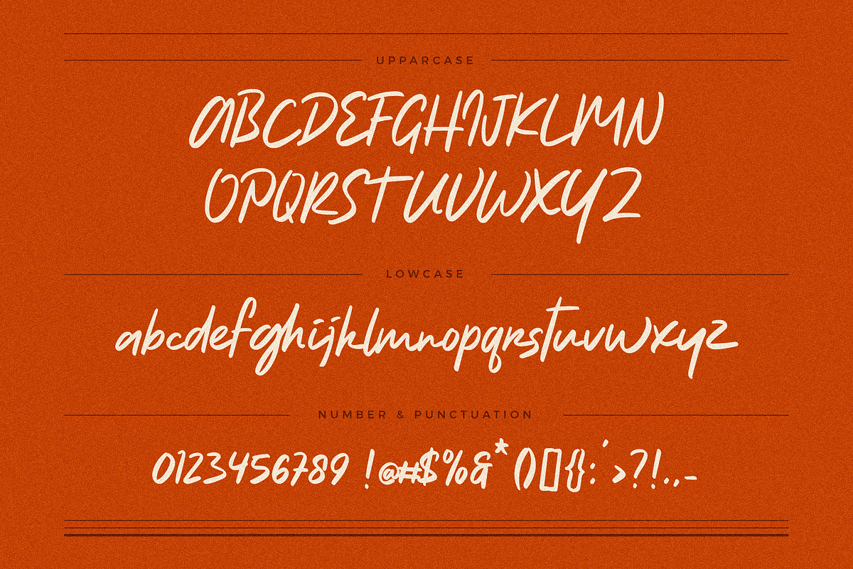 Natureal Script - Elegant Font, a Script Font by Invasi Studio (Photo 9 of 10)