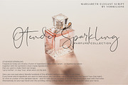 margareth elegant signature script, a Script Font by Say Studio (Thumbnail 5 of 13)